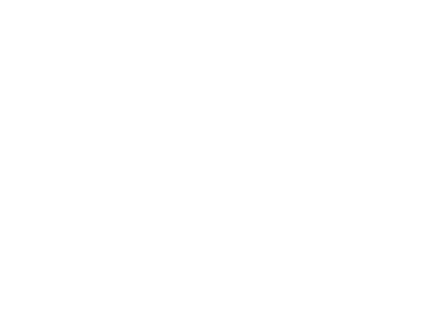 ヴィーナ・エナジー (Vena Energy)