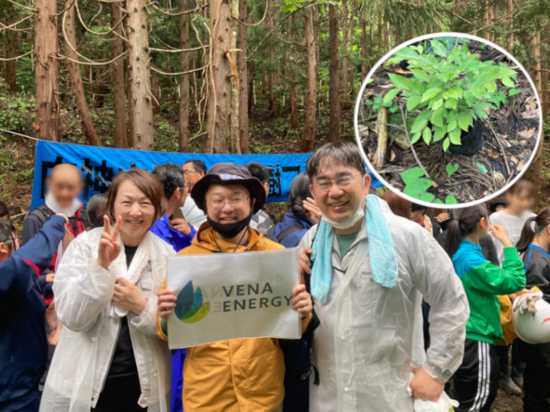 「白神山地ブナ植樹フェスタin赤石川」に参加