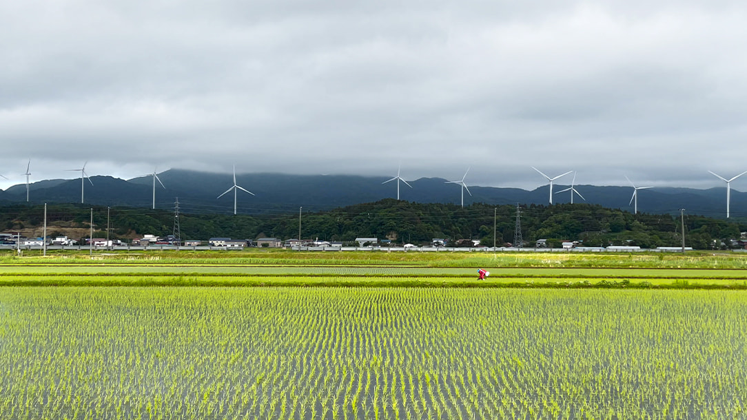 中里風力発電所（47メガワット）